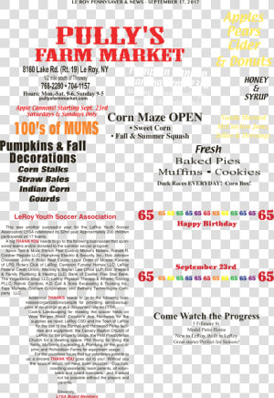 Document  HD Png Download