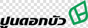 Png   ปูน ดอกบัว  Transparent Png