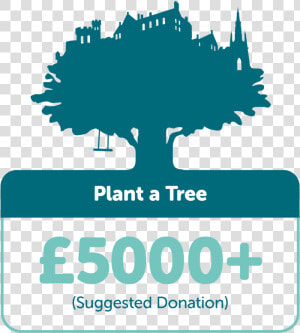 Plant A Tree £5000   Tree Time  HD Png Download