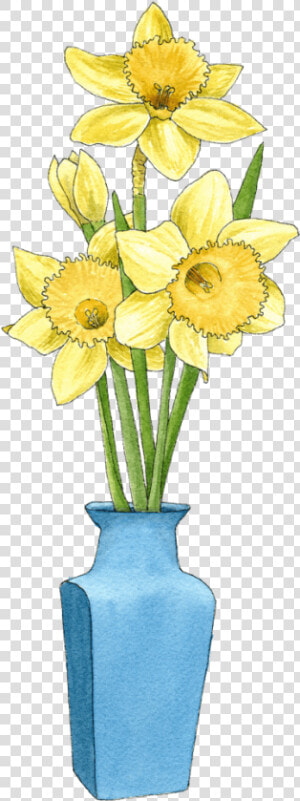 Daffs In Blue Vase   Narcissus  HD Png Download