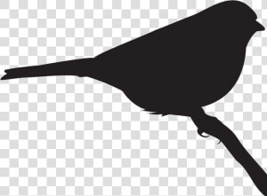 Clay Birds In Flight Clipart   Png Download   Emberizidae  Transparent Png