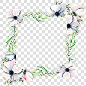 Hand Painted Diamond Flower Frame Png Transparent   Marcos De Hojas Blancas  Png Download