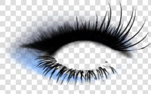  makeup  eyeliner  eyelashes  bigeyelashes  wyeshadow   Eyelash Extensions  HD Png Download