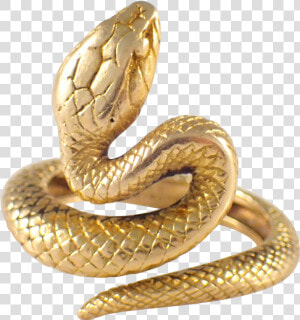 Rattlesnake Gold Reptile Vipers   Gold Snake Png  Transparent Png