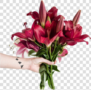 Transparent Stargazer Lily Png   Happy Tuesday Images With Flowers  Png Download