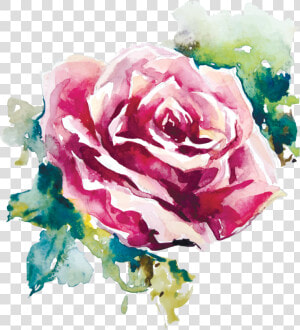 Rose Painting Vector   Png Download   Rose Flower Watercolor Painting  Transparent Png