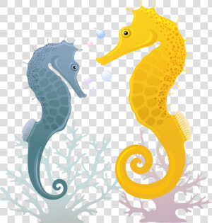 Clip Art Illustration Transprent   Illustration  HD Png Download