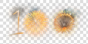 100 Year Celebration Artwork  HD Png Download