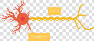Transparent Neuron Png   Graphic Design  Png Download