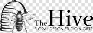 The Hive Floral Design Studio  amp  Gifts   Hornet  HD Png Download