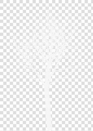Darkness  HD Png Download