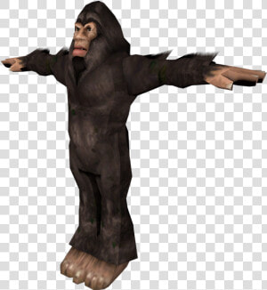Tony Hawk Png Gorilla   Bigfoot Png Transparent Background  Png Download