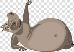 Gloria Madagascar   Png Download  Transparent Png