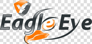 Transparent Eye Logo Png   Eagle Eye  Png Download