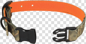 01869 Reversible Dog Collar Studio  HD Png Download