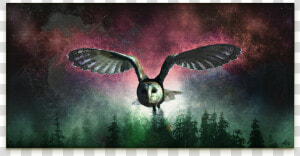 Flying Owl Digital Art On Canvas   Barn Owl  HD Png Download