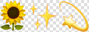  emoji  emotion  sunflower  girassol  brillo  brilho   Sunflower Emoji  HD Png Download