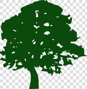 Tree Pine Southern Live Oak Clip Art   Green Tree Silhouette Png  Transparent Png