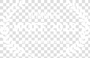 Women Over 50 Best Experimental Film   Johns Hopkins White Logo  HD Png Download