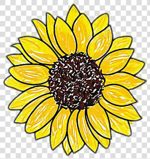  girasol   Easy Drawings Of Sunflowers  HD Png Download