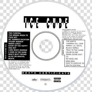 Transparent Ice Cube Png   Ice Cube Death Certificate Cd  Png Download
