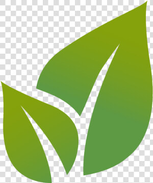 Icon Environment Free Png Image   Transparent Background Green Leaf Icon  Png Download