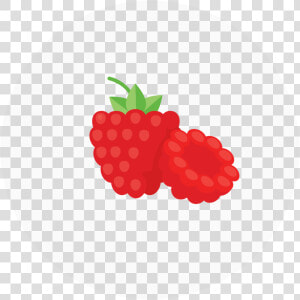 Raspberry Lime Mojito Sorbet  HD Png Download