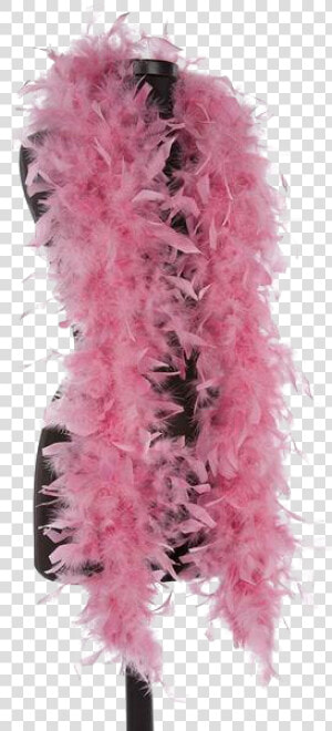 Feather Boa Transparent Background Png   Feather Boa Transparent Background  Png Download