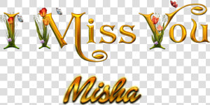 Misha Happy Birthday Name Png   Shobha I Love You  Transparent Png