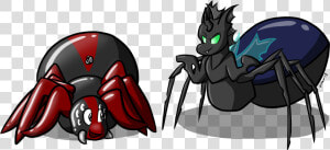 Spiders Png  Transparent Png
