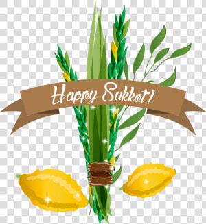 Sukkot Illustration  HD Png Download