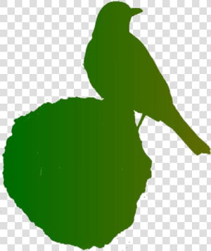 Robin Bird On Rock Png Full Hd   House Sparrow  Transparent Png