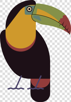 Toucan  HD Png Download