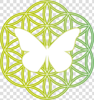 Mariposa     Golden Flower Of Life  HD Png Download