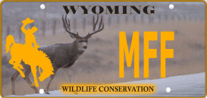 Wyoming Conservation License Plate  HD Png Download