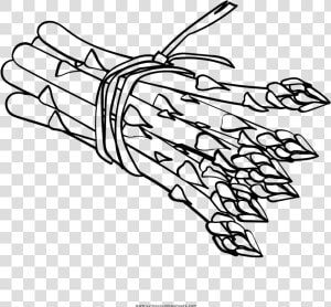 Asparagus Coloring Page   Dibujos De Esparragos Para Colorear  HD Png Download