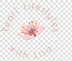 Lifestyle Icon Png  Transparent Png