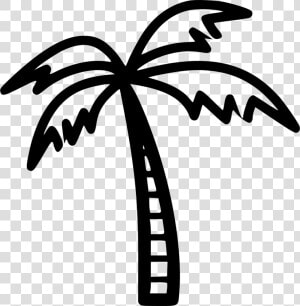 Coconut Tree   Coconut Tree Png Black And White  Transparent Png