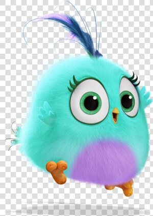 Angry Birds Orange Hatchling  HD Png Download