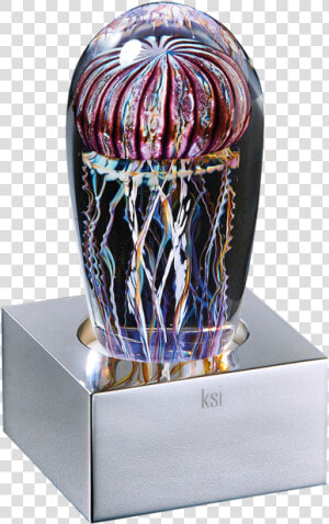 Jellyfish Png  Transparent Png