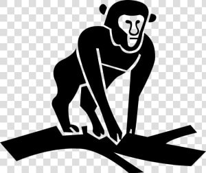 Vector Illustration Of Primate Monkey Ape On Tree Branch  HD Png Download
