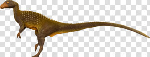 Velociraptor  HD Png Download