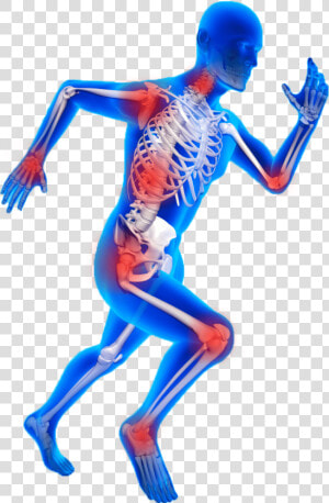 Orthopedic Images Png  Transparent Png
