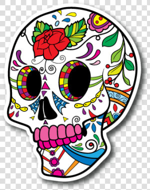 Calavera  HD Png Download