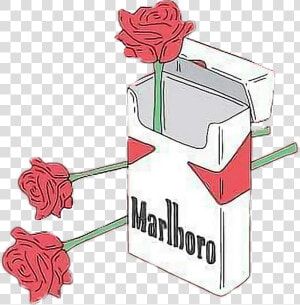  aesthetic  png  tumblr  freetoedit   Rose Aesthetic Drawing  Transparent Png