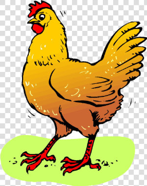 Chicken Egg Clipart Free Images Transparent Png   Chicken Clipart  Png Download