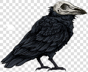  raven  skull  arrow   Raven With Skull Head  HD Png Download