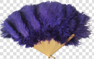 Ostrich Feather Png Purple Ostrich Feather Fan Vintage   Common Ostrich  Transparent Png