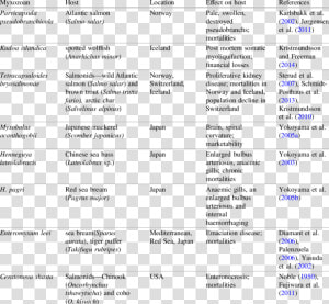 Myxozoa Examples  HD Png Download