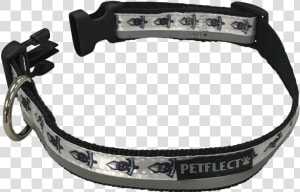 Tennessee Titans Dog Collar   Strap  HD Png Download